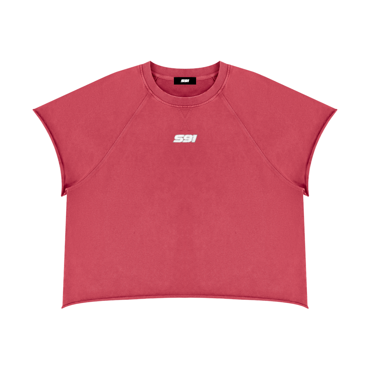 Vintage Wash Raw Edge Boxy T-Shirt